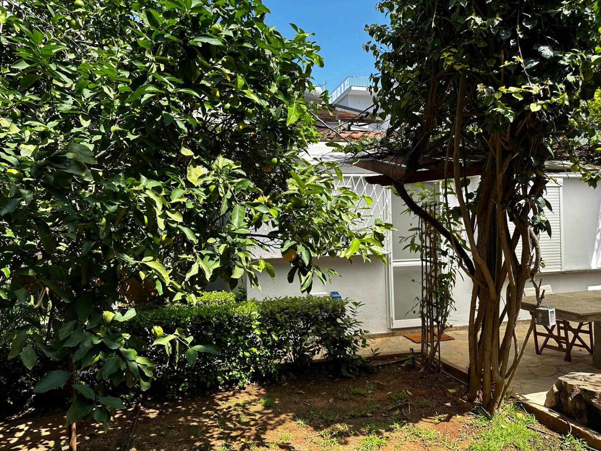Antonis'S Garden House Daire Atina Dış mekan fotoğraf