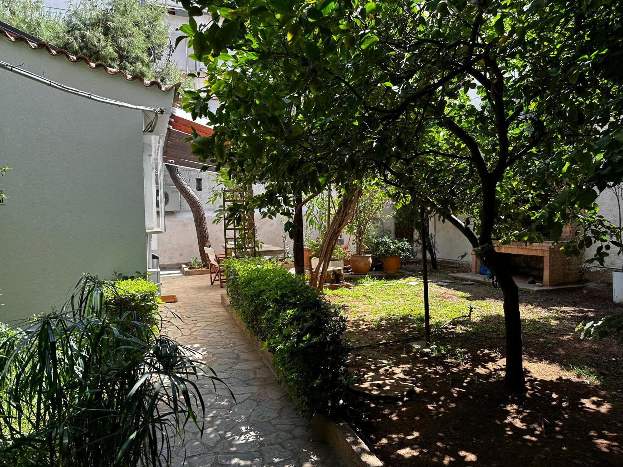 Antonis'S Garden House Daire Atina Dış mekan fotoğraf